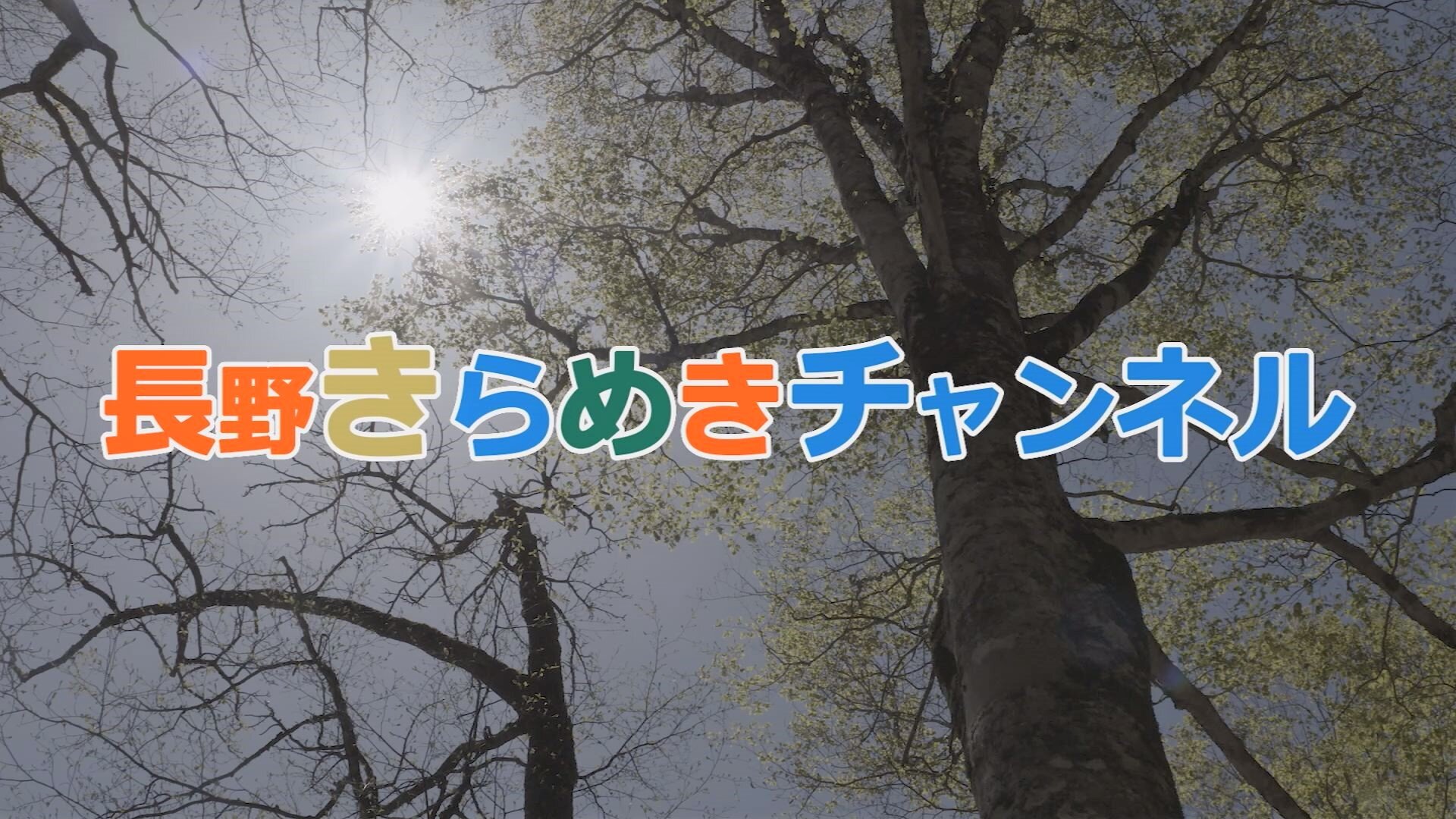 長野きらめきチャンネル