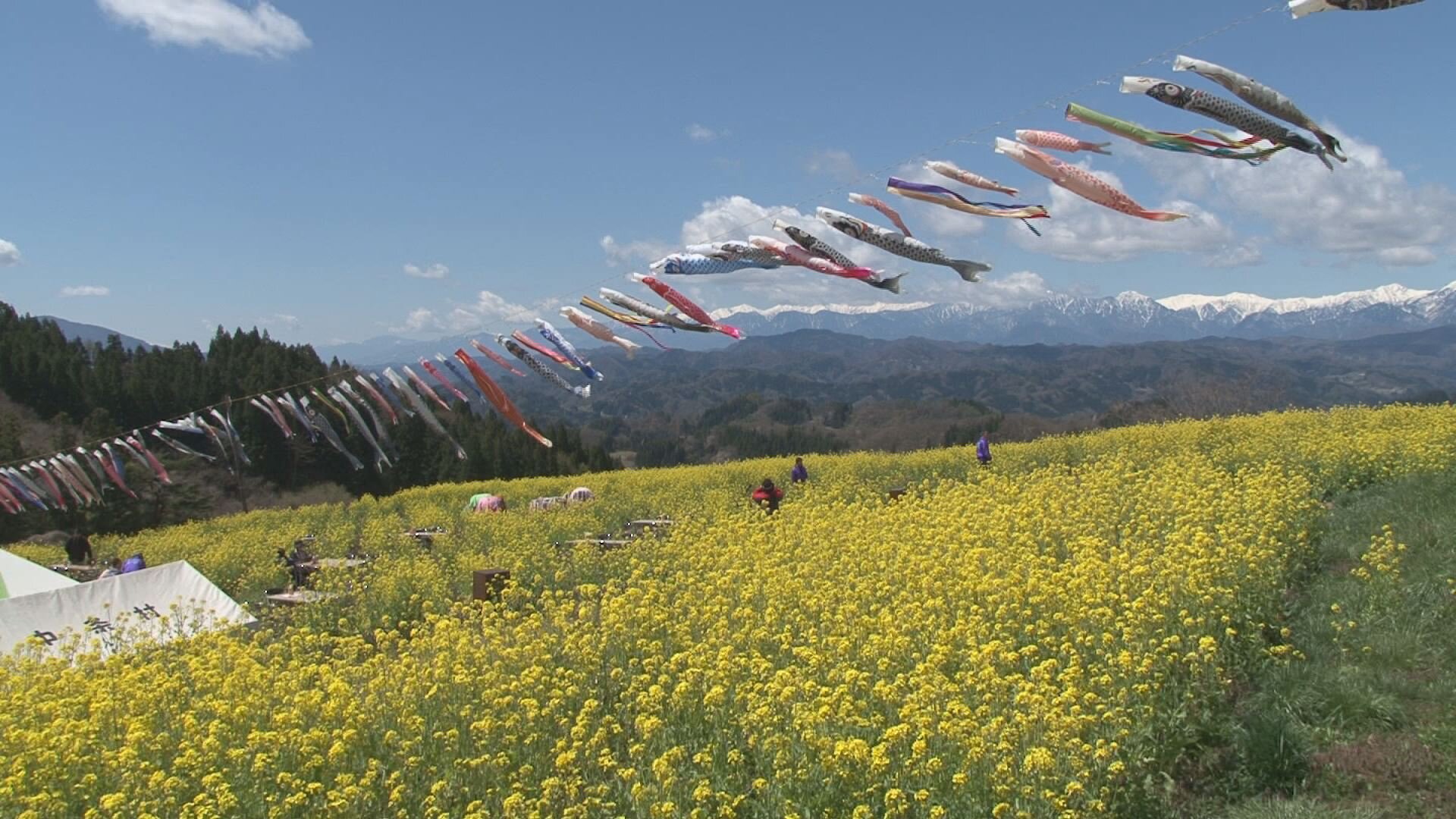 戸隠・鬼無里情報局／しんまち・中条情報局